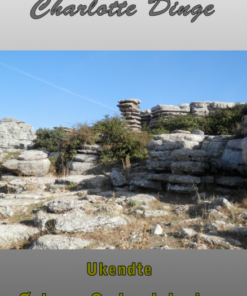 Ukendte Øst- og Sydandalusien (E-bog)