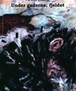 Under Gaderne, Fjeldet - Aron Bang - Bog