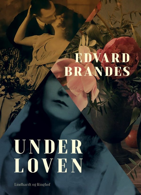 Under Loven - Edvard Brandes - Bog