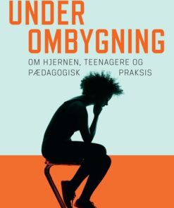 Under Ombygning - Lisbeth Iglum Rønhovde - Bog