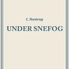 Under Snefog - C Hostrup - Bog