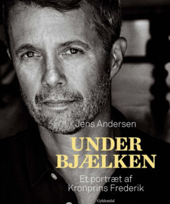 Under bjælken (Bog)