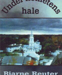 Under kometens hale (E-bog)