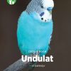 Undulat - et kæledyr, Grøn Fagklub (E-bog)