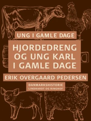 Ung i gamle dage - Hjordedreng og ung karl i gamle dage (E-bog)