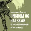 Ungdom og galskab: en guldalderroman om Du Puy og Weyse (Bog)