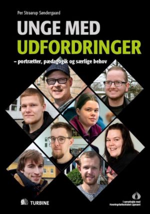 Unge med udfordringer (E-bog)