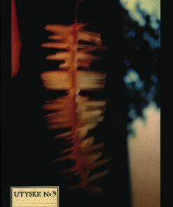 Utyske No.3 - Gorm Rasmussen - Bog