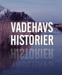 Vadehavshistorier - Erik Lassen - Bog