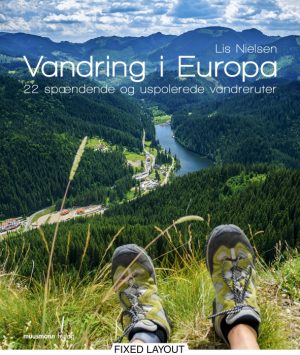 Vandring i Europa (E-bog)