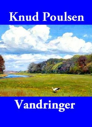 Vandringer (E-bog)