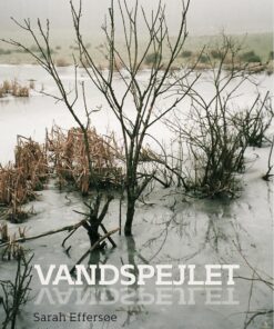 Vandspejlet - Sarah Effersøe - Bog