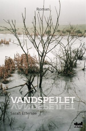 Vandspejlet - Sarah Effersøe - Bog