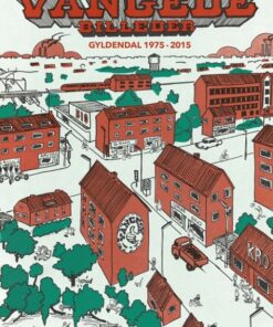 Vangede billeder (Bog)