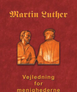 Vejledning for menighederne (E-bog)