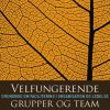 Velfungerende grupper og team (Bog)