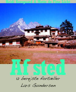 Venskabet med verdens tag (E-bog)