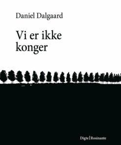 Vi Er Ikke Konger - Daniel Dalgaard - Bog