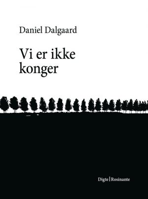 Vi Er Ikke Konger - Daniel Dalgaard - Bog