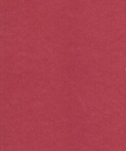 Vi Flygtninge - Hannah Arendt - Bog