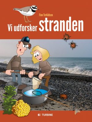 Vi udforsker stranden (Bog)