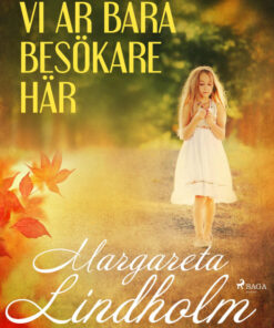 Vi är bara besökare här (E-bog)