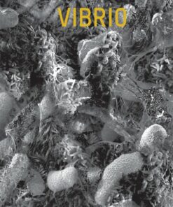 Vibrio - Glenn Christian - Bog