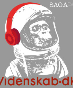 Videnskab.dk #12 - De hypede pyramider (Lydbog)