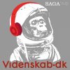 Videnskab.dk #29 - Gækkebrevet var datidens måde at flirte på (Lydbog)