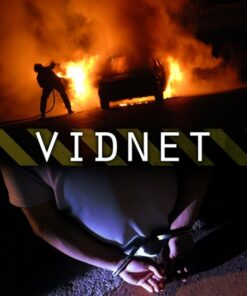 Vidnet (E-bog)