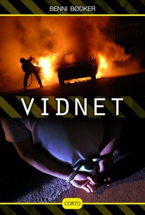 Vidnet (E-bog)