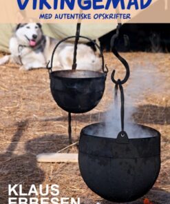 Vikingemad (E-bog)