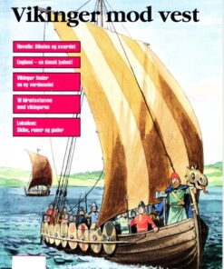 Vikinger mod vest (E-bog)