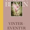Vinter-eventyr (Bog)