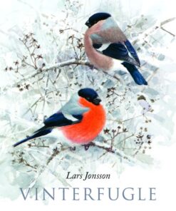 Vinterfugle (Bog)