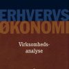 Virksomhedsanalyse - Dick Hamann - Bog