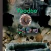 Voodoo (E-bog)