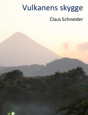 Vulkanens skygge (Bog)