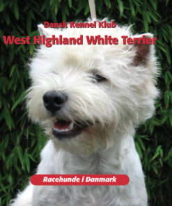 West Highland White Terrier (Bog)
