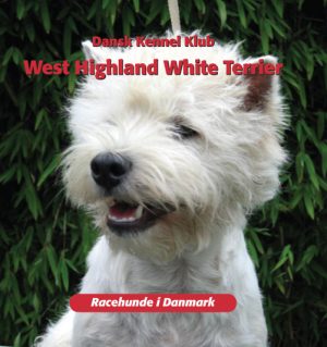 West Highland White Terrier (Bog)