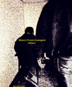 Wheres Private Investigator Hanson (E-bog)