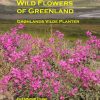 Wild Flowers of Greenland - Grønlands vilde planter (Bog)