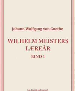 Wilhelm Meisters Læreår 1 (Bog)