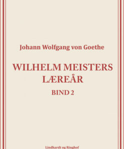 Wilhelm Meisters Læreår 2 (Bog)