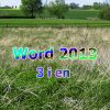 Word 2013 3 i en (E-bog)