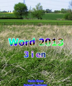 Word 2013 3 i en (E-bog)