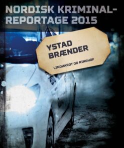 Ystad brænder (E-bog)