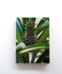 happity forever - tentativ metode til generering af nye skulpturer (Bog)