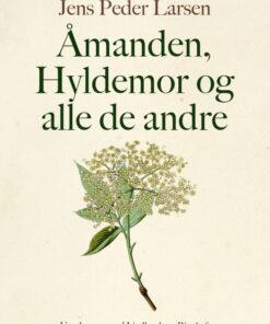 Åmanden, Hyldemor og alle de andre (E-bog)