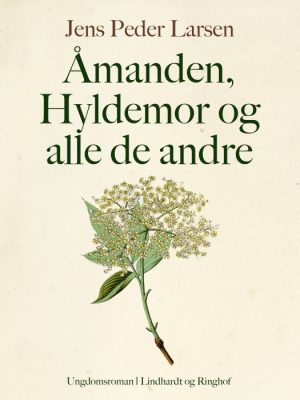 Åmanden, Hyldemor og alle de andre (E-bog)